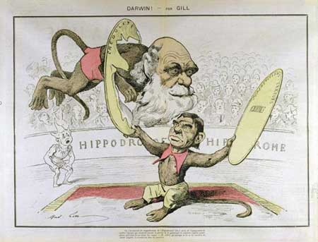 Darwin Cartoon