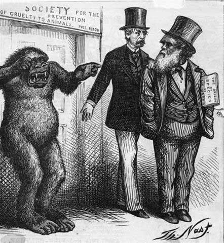 Darwin Cartoon