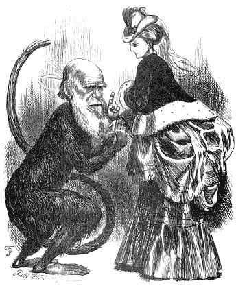 Darwin Cartoon