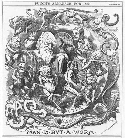Darwin Cartoon