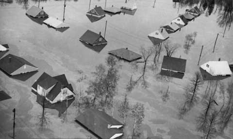 The Flood